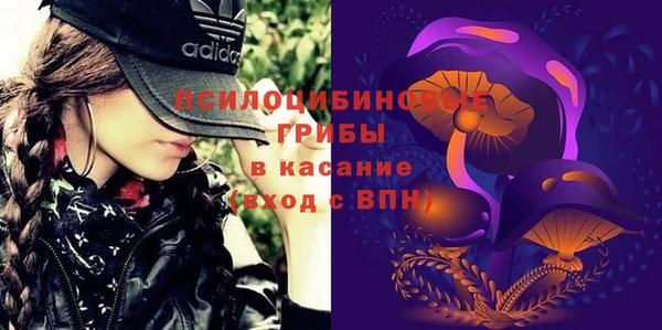 спиды Алзамай