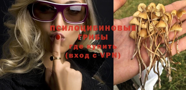 стафф Алексеевка