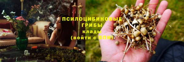 дмт Алексин