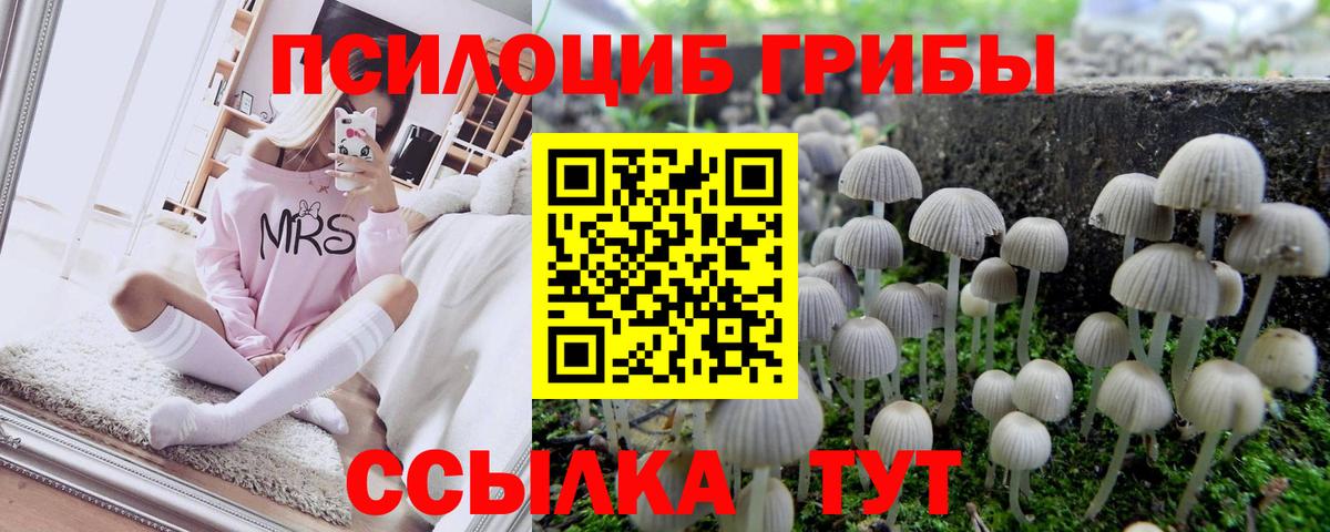 Псилоцибиновые грибы MAGIC MUSHROOMS  Вход с VPN  Новокубанск 
